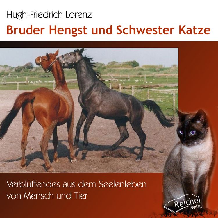 Produktbild: Bruder Hengst und Schwester Katze