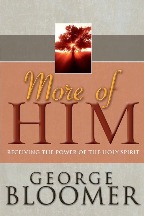 Produktbild: More of Him