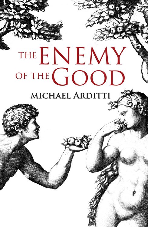 Produktbild: The Enemy of the Good