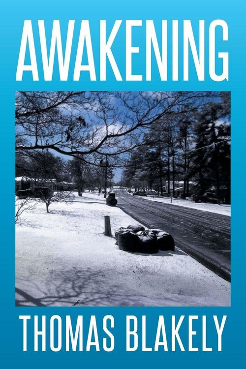 Produktbild: Awakening
