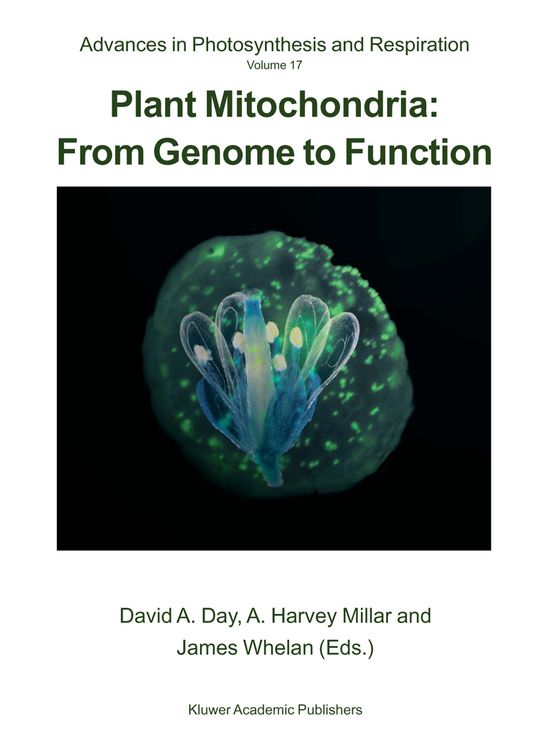 Produktbild: Plant Mitochondria: From Genome to Function