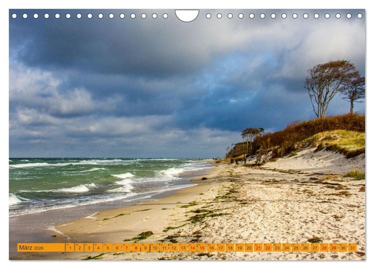 Produktbild: Wilder Dar&szlig;er Weststrand (Wandkalender 2026 DIN A4 quer), CALVENDO Monatskalender