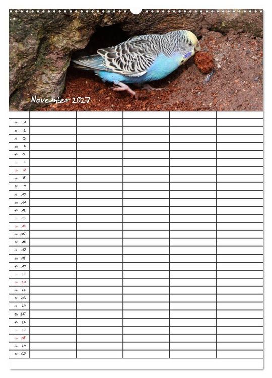 Produktbild: Wellensittiche (hochwertiger Premium Wandkalender 2027 DIN A2 hoch), Kunstdruck in Hochglanz