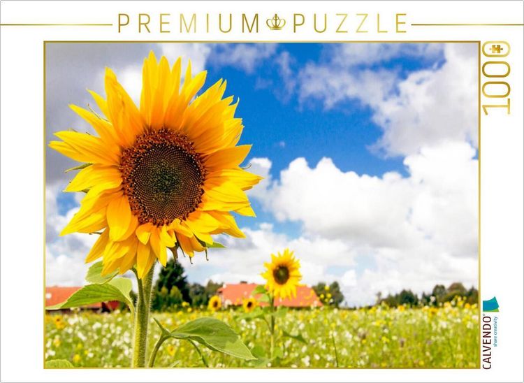 Produktbild: CALVENDO Puzzle Eversmeer - Sonnenblumenfeld | 1000 Teile Lege-Gr&ouml;&szlig;e 64x48cm Foto-Puzzle f&uuml;r gl&uuml;ckliche Stunden