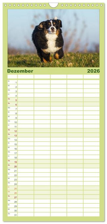 Produktbild: Familienplaner 2026 - Treuer Freund Berner Sennenhund mit 5 Spalten (Wandkalender, 21 x 45 cm) CALVENDO