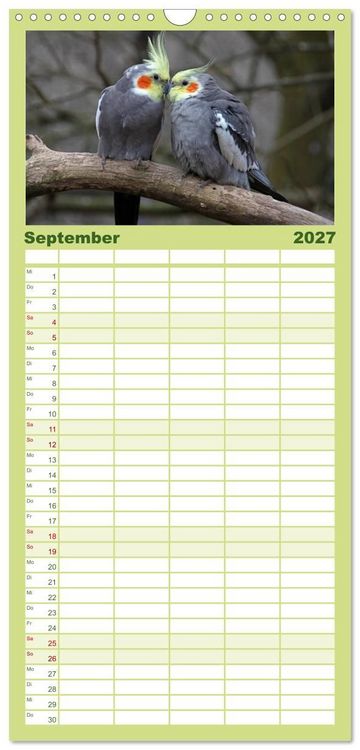 Produktbild: Familienplaner 2027 - Nymphensittiche mit 5 Spalten (Wandkalender, 21 x 45 cm) CALVENDO