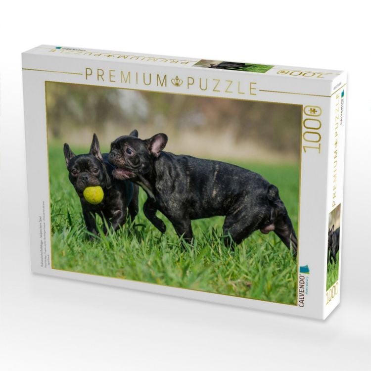 Produktbild: CALVENDO Puzzle Franz&ouml;sische Bulldogge - Welpen beim Spiel | 1000 Teile Lege-Gr&ouml;&szlig;e 64x48cm Foto-Puzzle f&uuml;r gl&uuml;ckliche Stunden