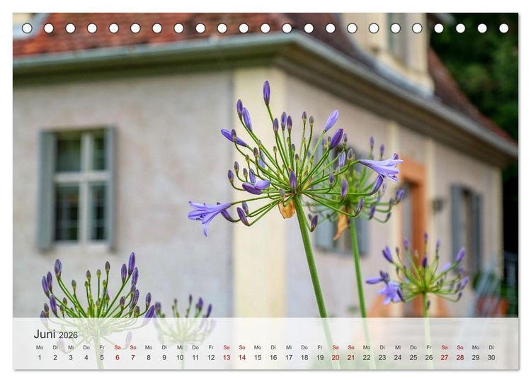 Produktbild: Schloss Favorite &ndash; Ein Park im Wandel der Jahreszeiten (Tischkalender 2026 DIN A5 quer), CALVENDO Monatskalender