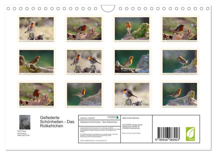 Produktbild: Gefiederte Sch&ouml;nheiten - Das Rotkehlchen (Wandkalender 2026 DIN A4 quer), CALVENDO Monatskalender