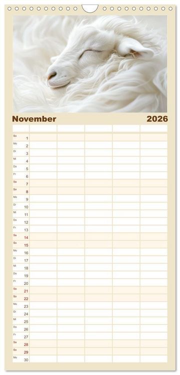 Produktbild: Familienplaner 2026 - Tierische Tr&auml;umer - Sanft ruhend mit 5 Spalten (Wandkalender, 21 x 45 cm) CALVENDO