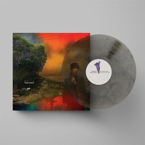 Produktbild: WEVE BEEN GOING ABOUT THIS ALL WRONG-Ltd.Col.V