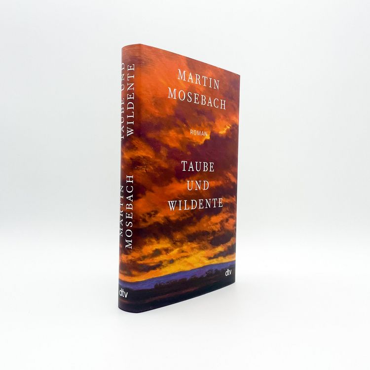 Produktbild: Taube und Wildente