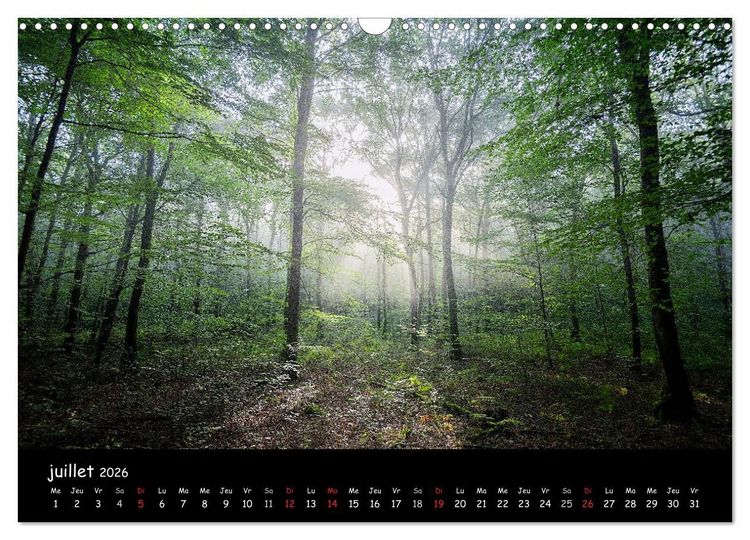 Produktbild: BROCELIANDE, la for&ecirc;t (Calendrier mural 2026 DIN A3 vertical), CALVENDO calendrier mensuel
