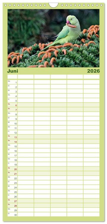 Produktbild: Familienplaner 2026 - Heimische Gartenv&ouml;gel mit 5 Spalten (Wandkalender, 21 x 45 cm) CALVENDO