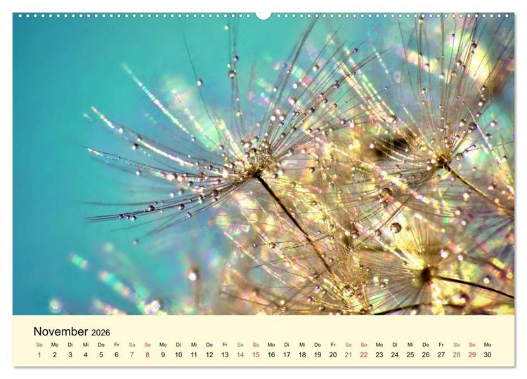 Produktbild: Naturjuwel Pusteblume (Wandkalender 2026 DIN A2 quer), CALVENDO Monatskalender