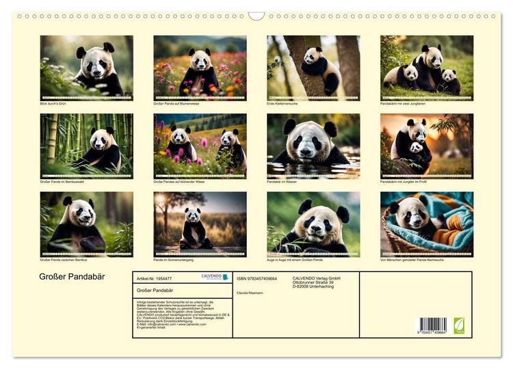 Produktbild: Gro&szlig;er Pandab&auml;r (Wandkalender 2026 DIN A2 quer), CALVENDO Monatskalender