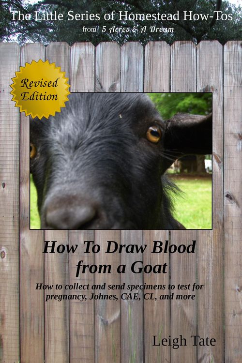 Produktbild: How To Draw Blood from a Goat: How To Collect and Send Specimens to Test for Pregnancy, Johnes, CAE, CL, and More