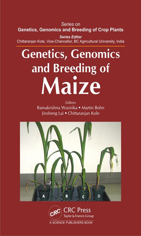 Produktbild: Genetics, Genomics and Breeding of Maize