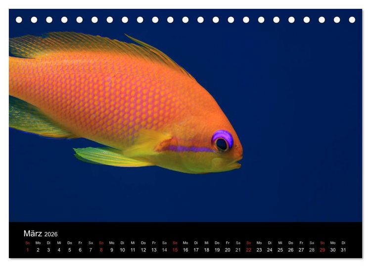 Produktbild: Bilder der Tiefe 2026 (Tischkalender 2026 DIN A5 quer), CALVENDO Monatskalender