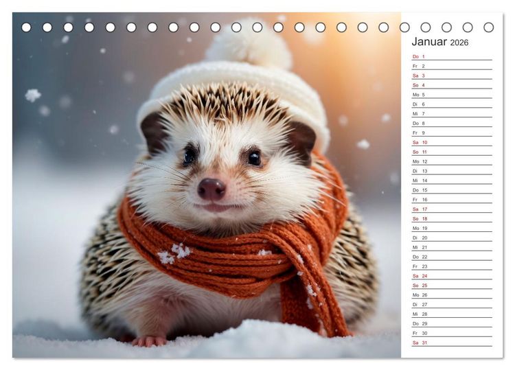 Produktbild: Stachelstars (Tischkalender 2026 DIN A5 quer), CALVENDO Monatskalender