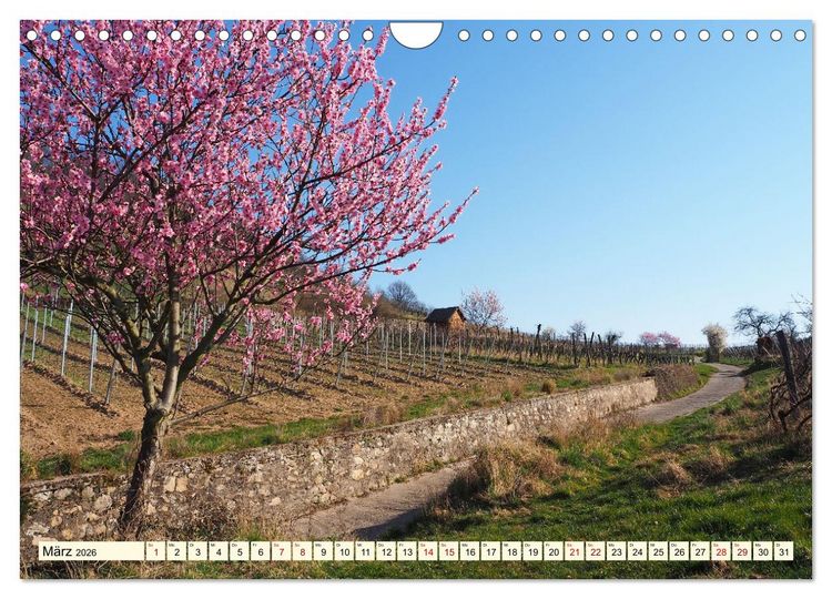 Produktbild: Bensheim a. d. Bergstra&szlig;e - Ein Stadtspaziergang (Wandkalender 2026 DIN A4 quer), CALVENDO Monatskalender