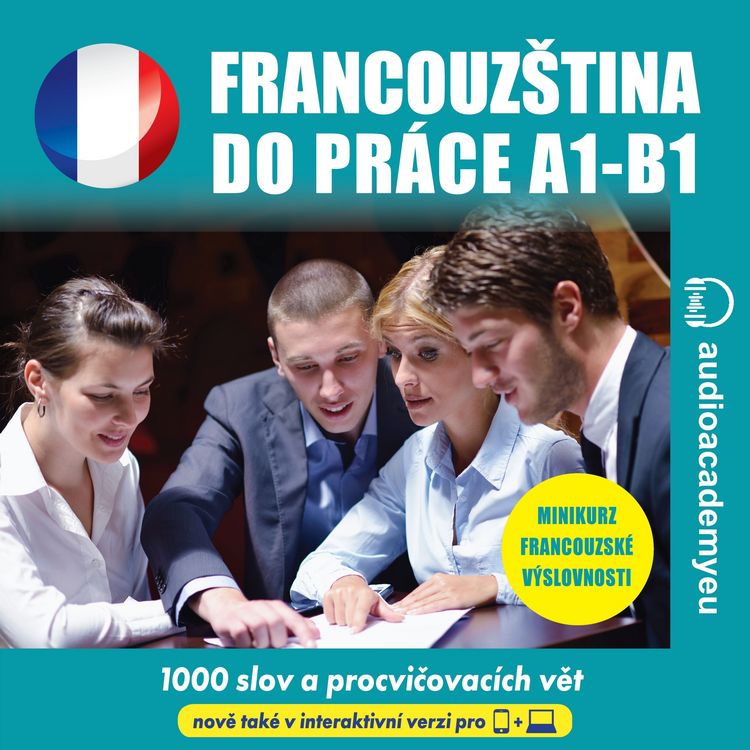 Produktbild: Francouz&scaron;tina do pr&aacute;ce A1-B1
