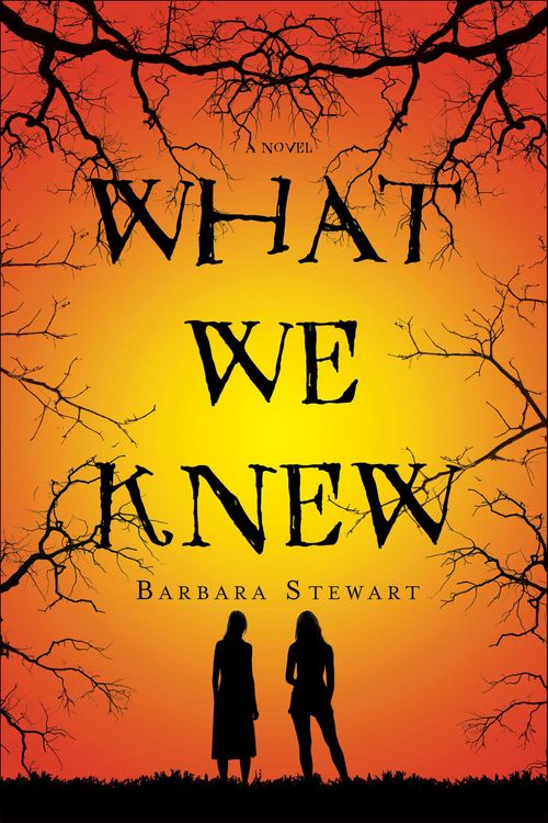 Produktbild: What We Knew