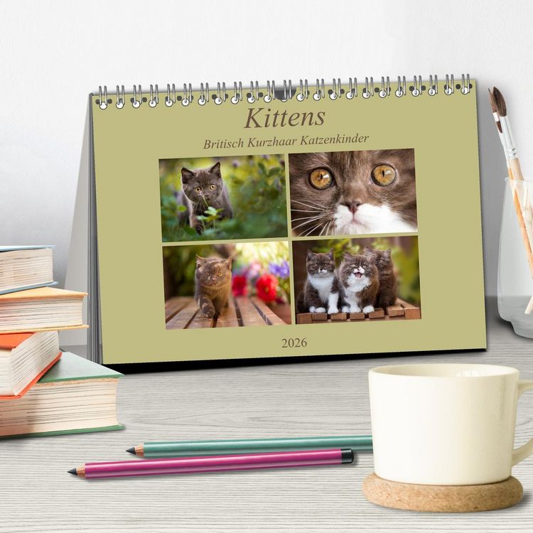 Produktbild: Kittens - Britisch Kurzhaar Katzenkinder (Tischkalender 2026 DIN A5 quer), CALVENDO Monatskalender