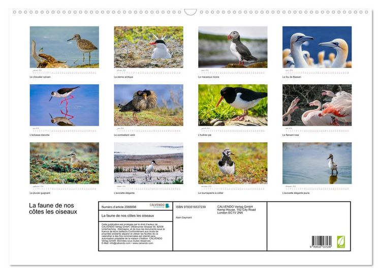 Produktbild: La faune de nos c&ocirc;tes les oiseaux (Calendrier mural 2026 DIN A2 vertical), CALVENDO calendrier mensuel