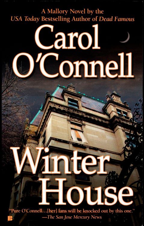 Produktbild: Winter House