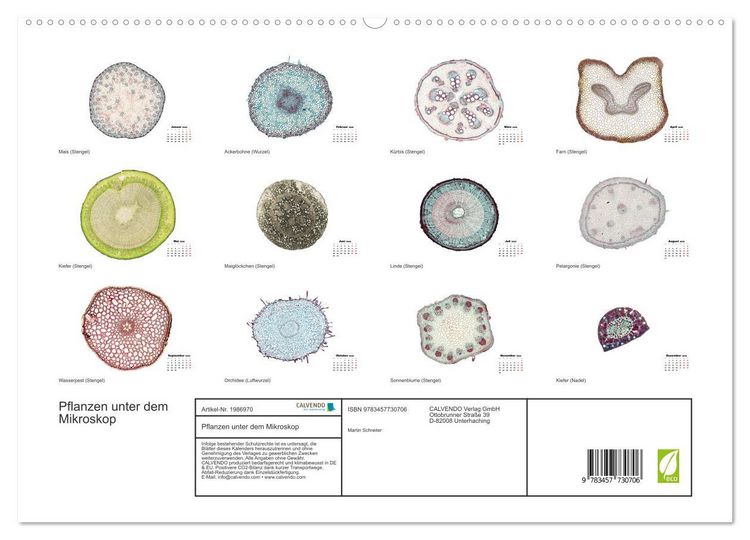 Produktbild: Pflanzen unter dem Mikroskop (hochwertiger Premium Wandkalender 2026 DIN A2 quer), Kunstdruck in Hochglanz