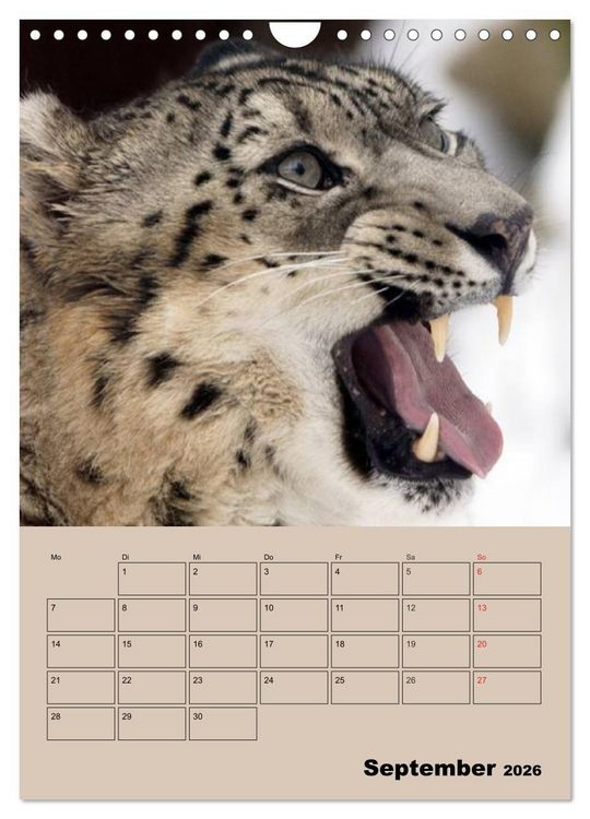 Produktbild: Gro&szlig;katzen. Raubkatzengesichter (Wandkalender 2026 DIN A4 hoch), CALVENDO Monatskalender
