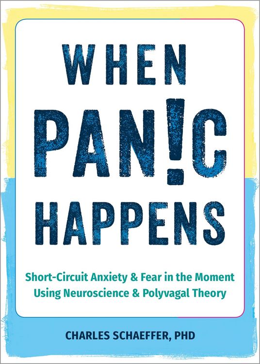 Produktbild: When Panic Happens