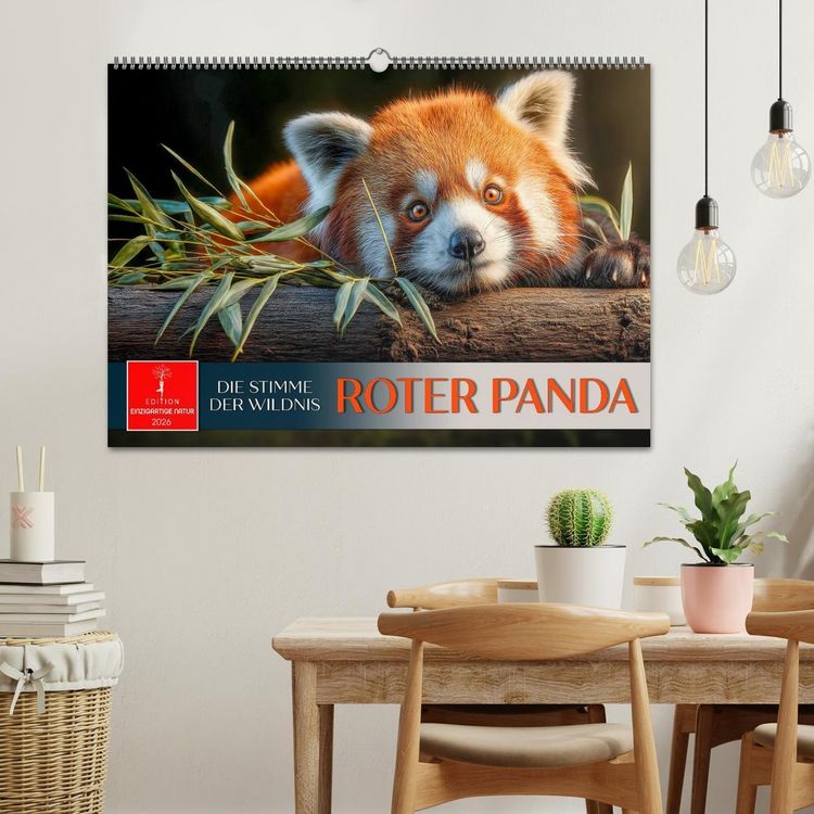 Produktbild: Roter Panda - die Stimme der Wildnis (Wandkalender 2026 DIN A2 quer), CALVENDO Monatskalender