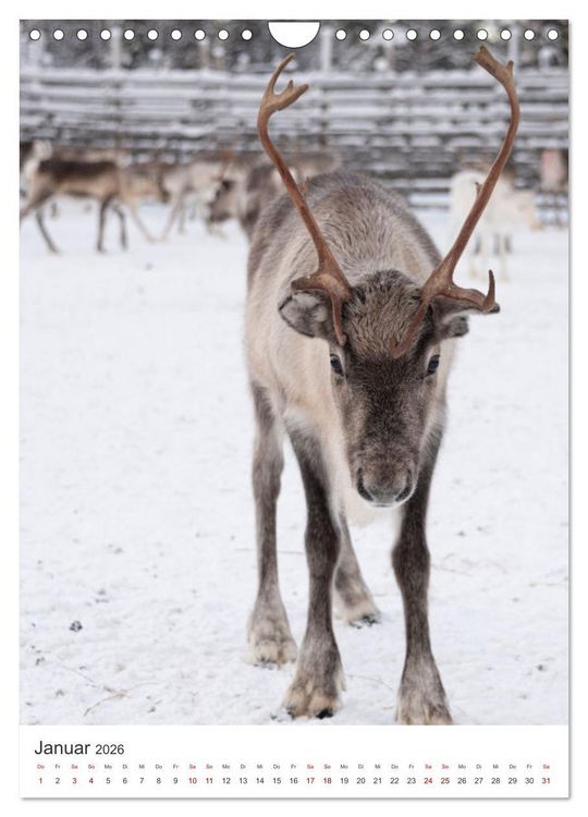 Produktbild: Winter in Lappland - Bezaubernde Sch&ouml;nheit (Wandkalender 2026 DIN A4 hoch), CALVENDO Monatskalender