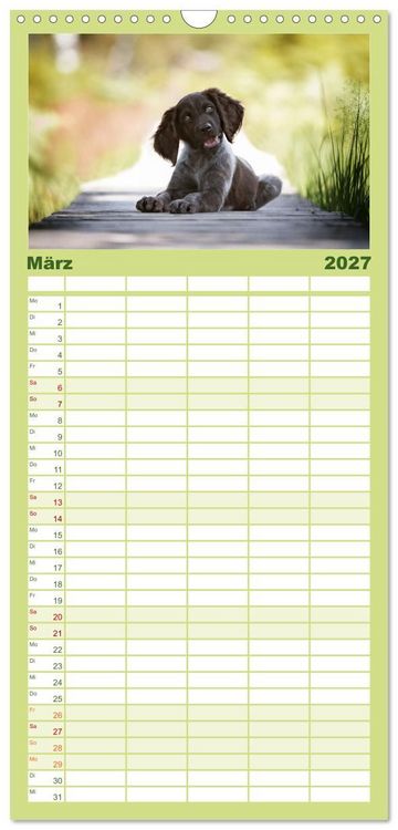 Produktbild: Familienplaner 2027 - Jagdhund im Portrait - Deutsch Langhaar mit 5 Spalten (Wandkalender, 21 x 45 cm) CALVENDO