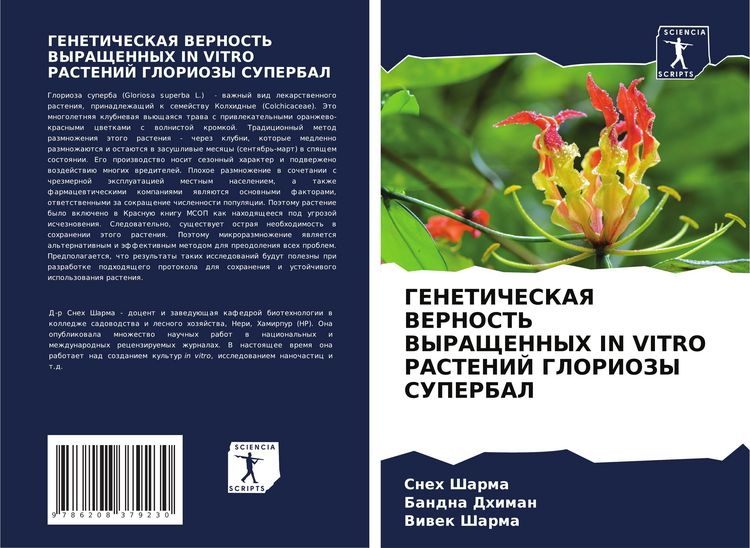Produktbild: Geneticheskaya Vernost' Vyrashhennyh in Vitro Rastenij Gloriozy Superbal