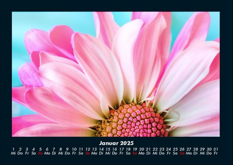 Produktbild: Blumentr&auml;ume 2025 Fotokalender DIN A4