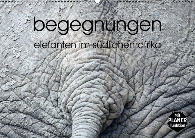 Produktbild: begegnungen - elefanten im s&uuml;dlichen afrika (Wandkalender immerw&auml;hrend DIN A2 quer)