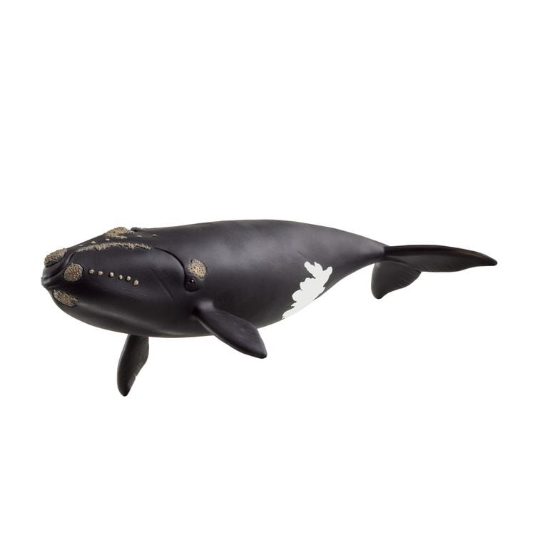 Produktbild: schleich&reg; Wild Life Nordatlantischer Glattwal