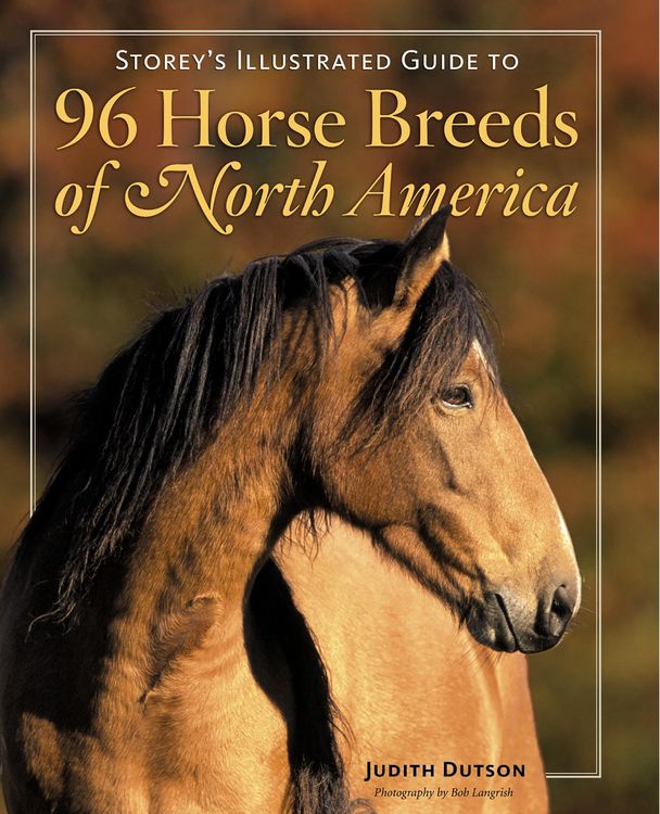 Produktbild: Storey's Illustrated Guide to 96 Horse Breeds of North America