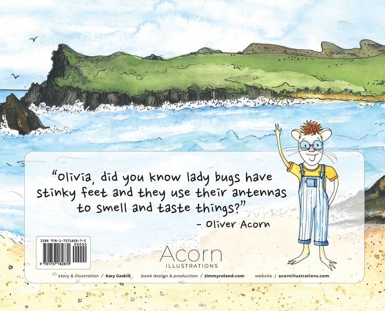 Produktbild: Acorn Family Adventures in Ireland