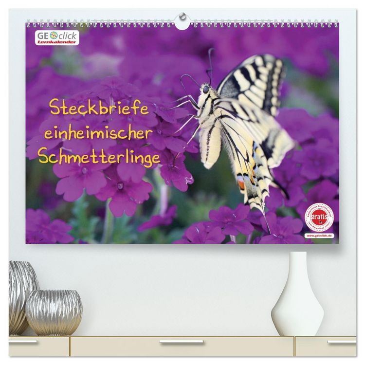 Produktbild: GEOclick Lernkalender: Steckbriefe einheimischer Schmetterlinge (hochwertiger Premium Wandkalender 2026 DIN A2 quer), Kunstdruck in Hochglanz