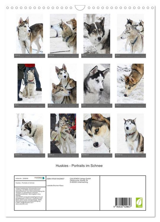 Produktbild: Huskies - Portraits im Schnee (Wandkalender 2026 DIN A3 hoch), CALVENDO Monatskalender