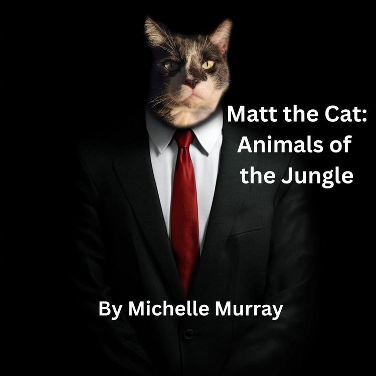 Produktbild: Matt the Cat Animals of the Jungle