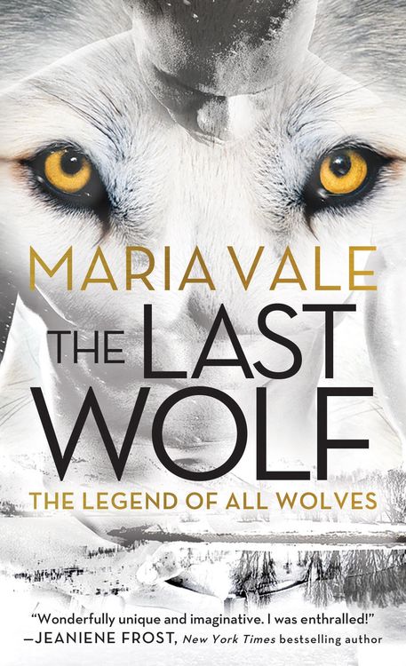 Produktbild: The Last Wolf