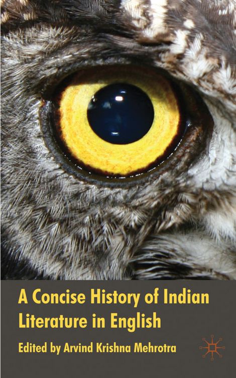 Produktbild: A Concise History of Indian Literature in English