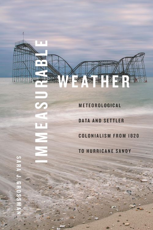 Produktbild: Immeasurable Weather