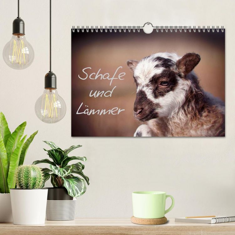 Produktbild: Schafe und L&auml;mmer (Wandkalender 2026 DIN A4 quer), CALVENDO Monatskalender