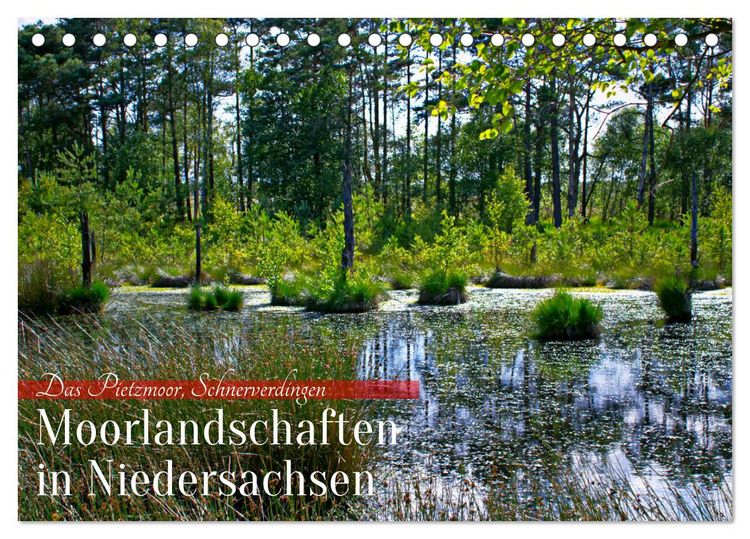 Produktbild: Niedersachsens Moorlandschaften - Das Pietzmoor, Schneverdingen (Tischkalender 2026 DIN A5 quer), CALVENDO Monatskalender